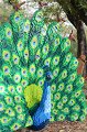 Kids_DFWzoo_3-2016 (24)
